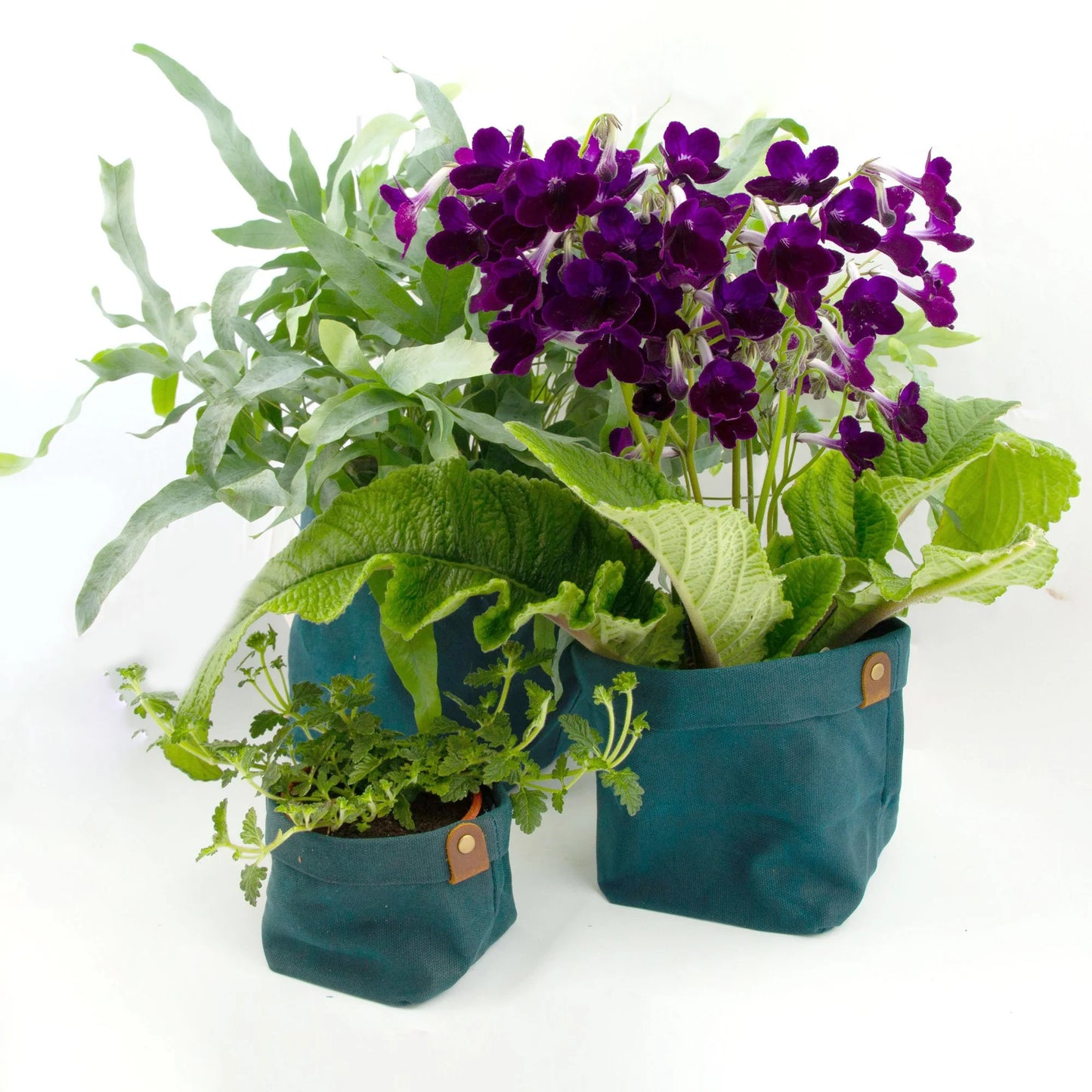 ALASKAN MAKER CANVAS PLANTER SET (7526041059521)
