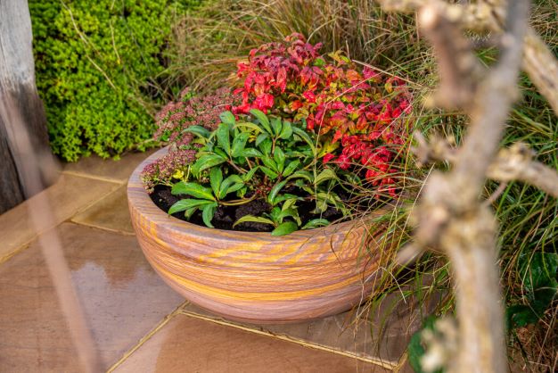 Pure Rainbow Sandstone Bowl Planter (7565334446273)