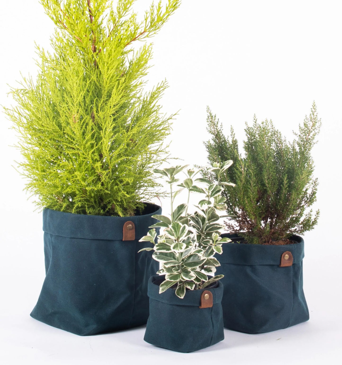 ALASKAN MAKER CANVAS PLANTER SET (7526041059521)
