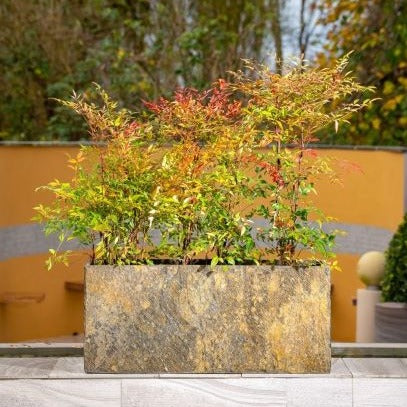 Foras Surmi Slate Trough Planter Pair (7565327794369) (15001261965697) (15001292734849) (15001300238721) (15001306956161)