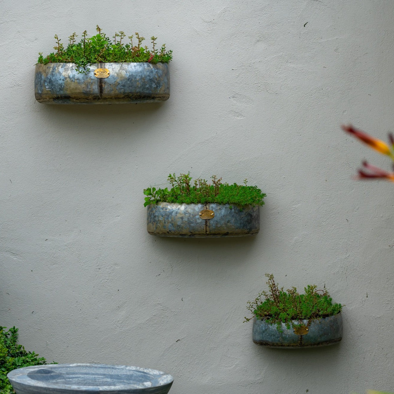 Cardamom Pod Wall Planter Set of Three (7564991332545)