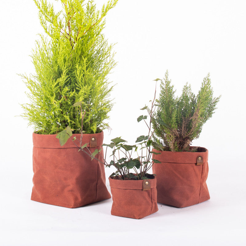 ALASKAN MAKER CANVAS PLANTER SET (7526041059521)