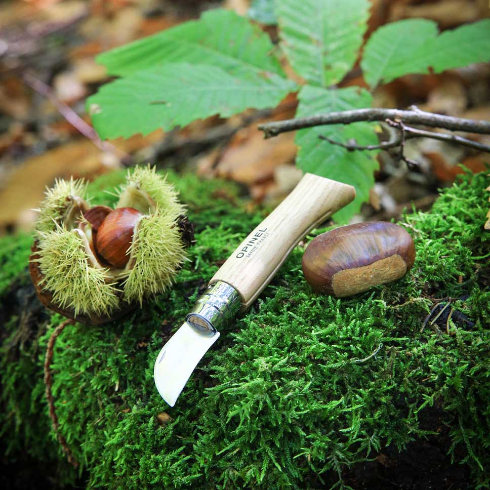 Opinel No.7 Chestnut & Garlic Knife (7599936307393)