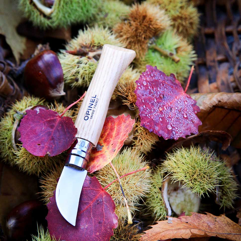 Opinel No.7 Chestnut & Garlic Knife (7599936307393)