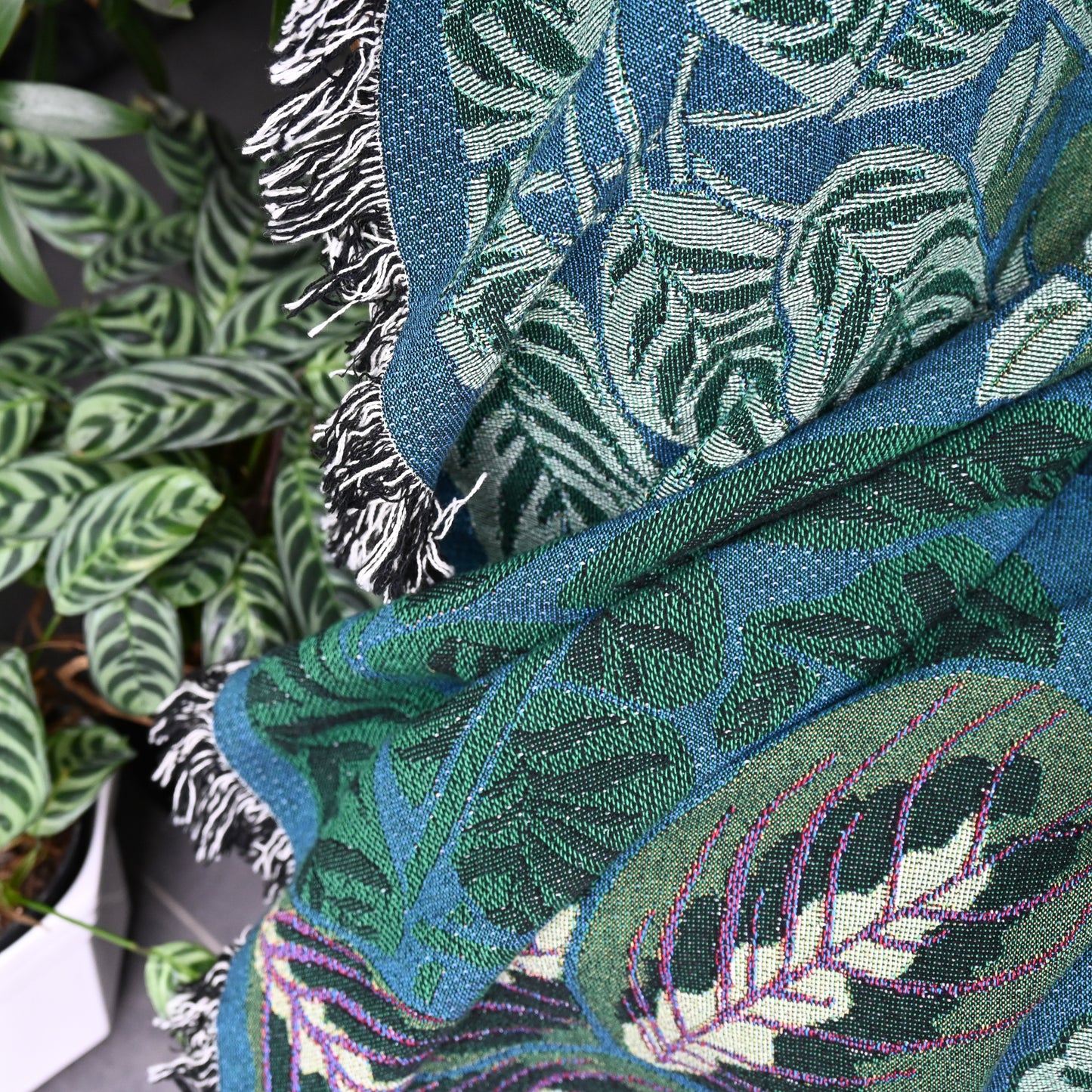Arcana Indoor Jungle Window Blanket (7549095280833)