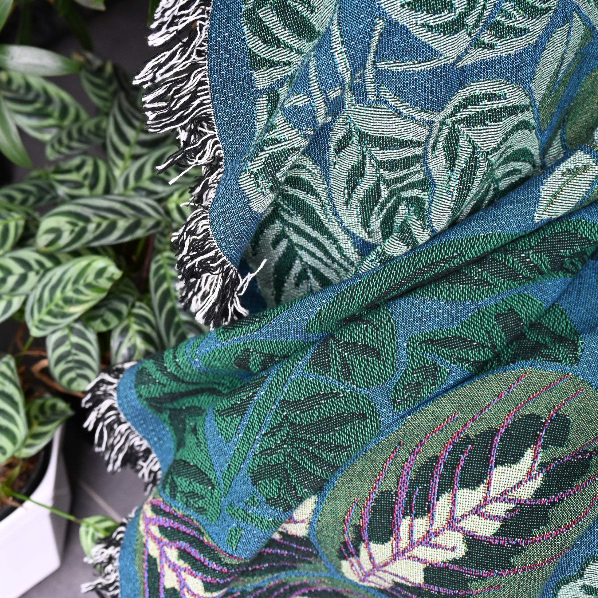 Arcana Indoor Jungle Window Blanket (7549095280833)