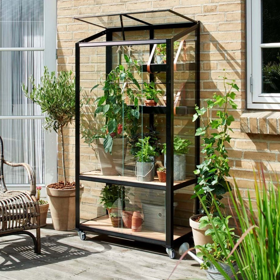 Juliana City Greenhouse (3784393293884)