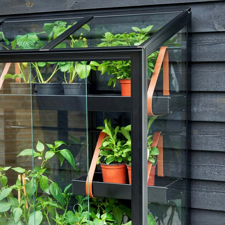 Juliana City Greenhouse (3784393293884)