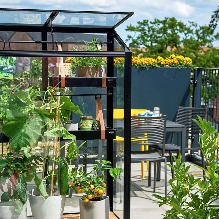Juliana City Greenhouse (3784393293884)