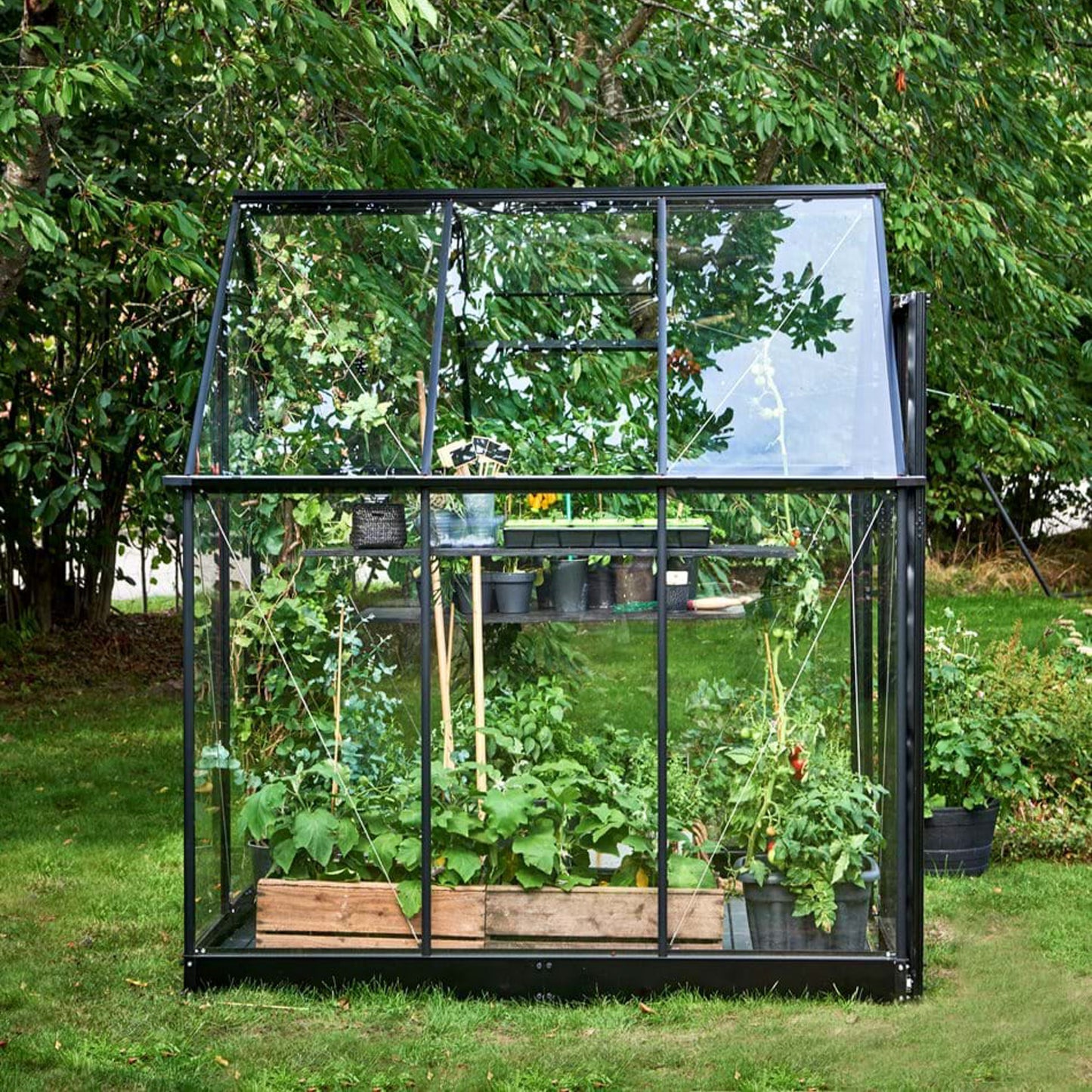 Halls Greenhouse | Greenhouses | Qube Greenhouse (6189169082561)