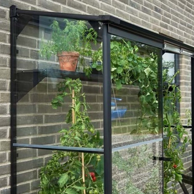 Halls Qube Lean To Greenhouse (7160167006401)