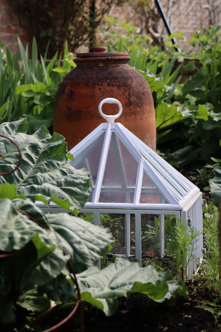 Victorian Garden Cloche
