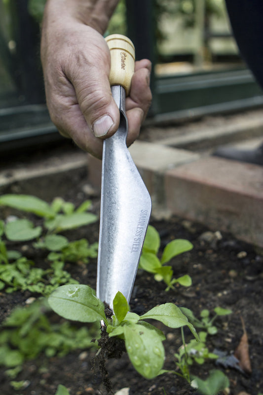 Weeding | Gardening Tasks 