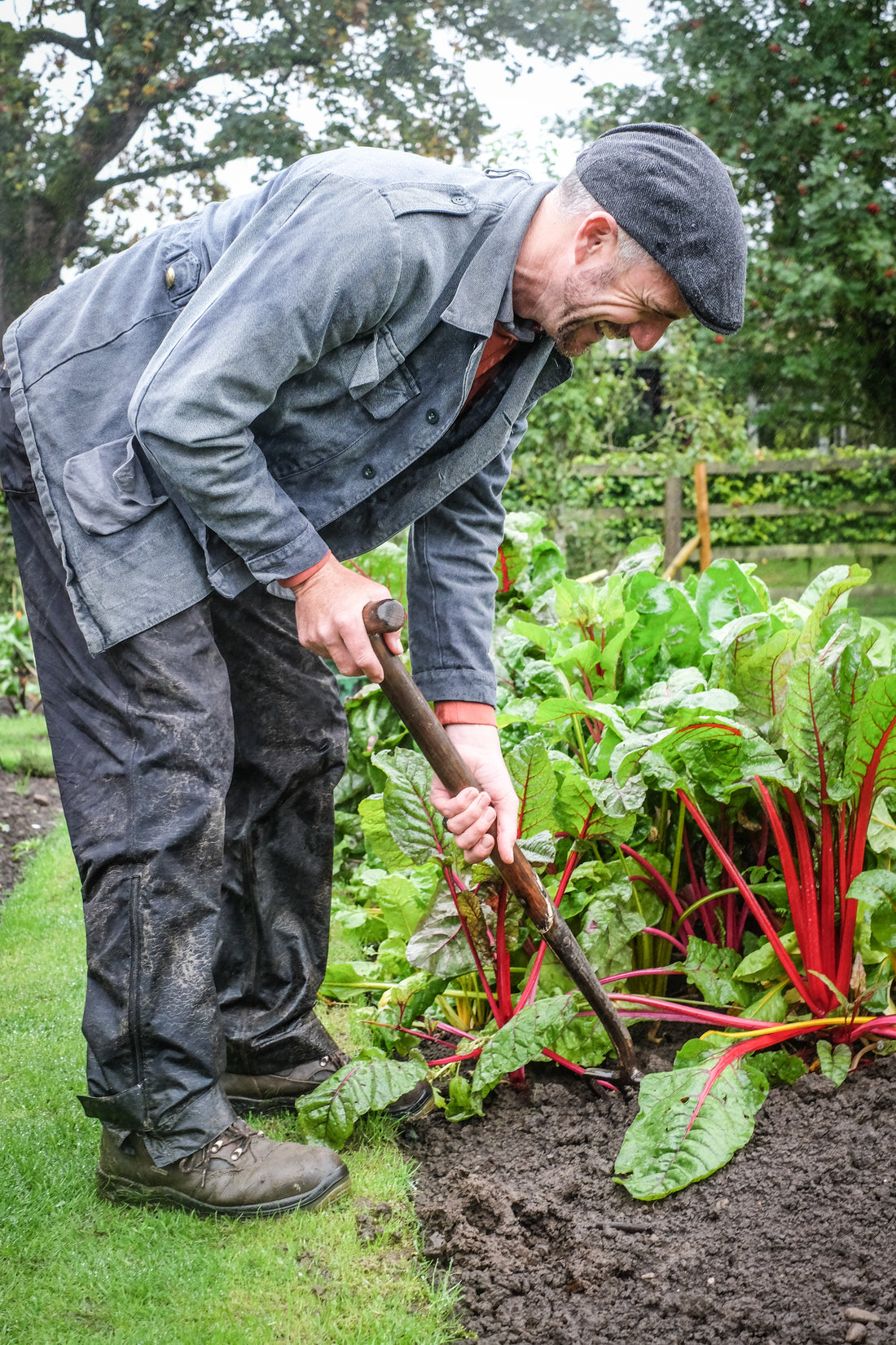 Gardening Tasks | February Garden Tips | Growing Beetroot