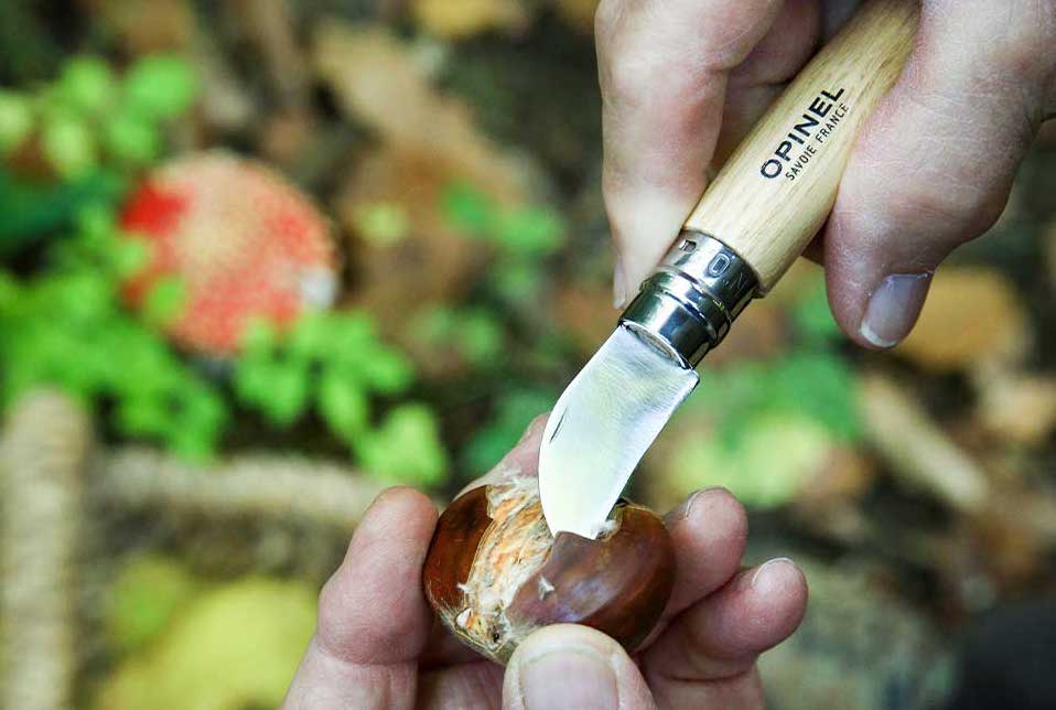 Which Opinel Garden Knife Is Right for You? A Practical Guide