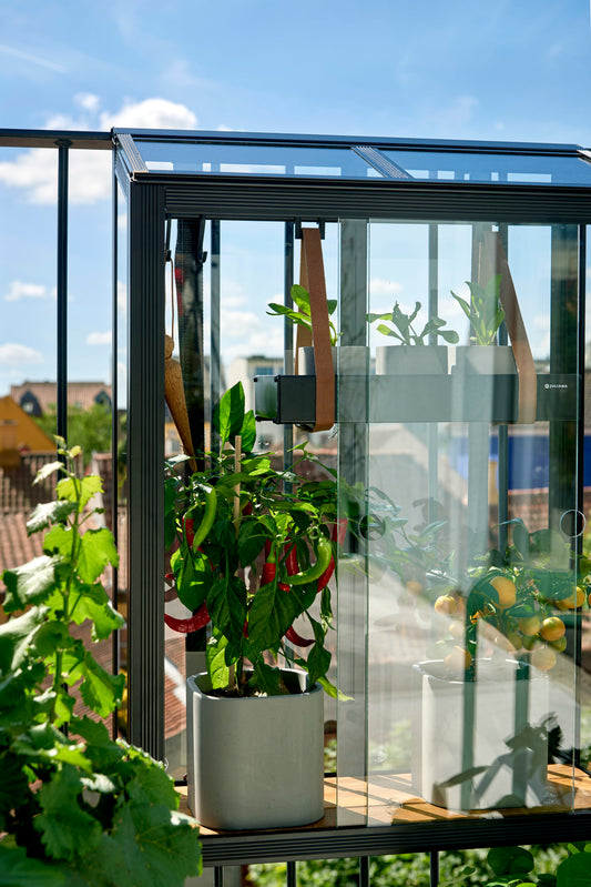 Balcony Greenhouse | Juliana Greenhouse
