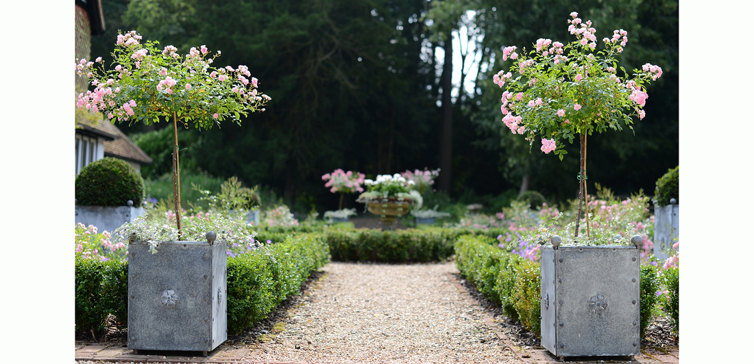 Why Choose Galvanised Zinc Planters for Your Garden