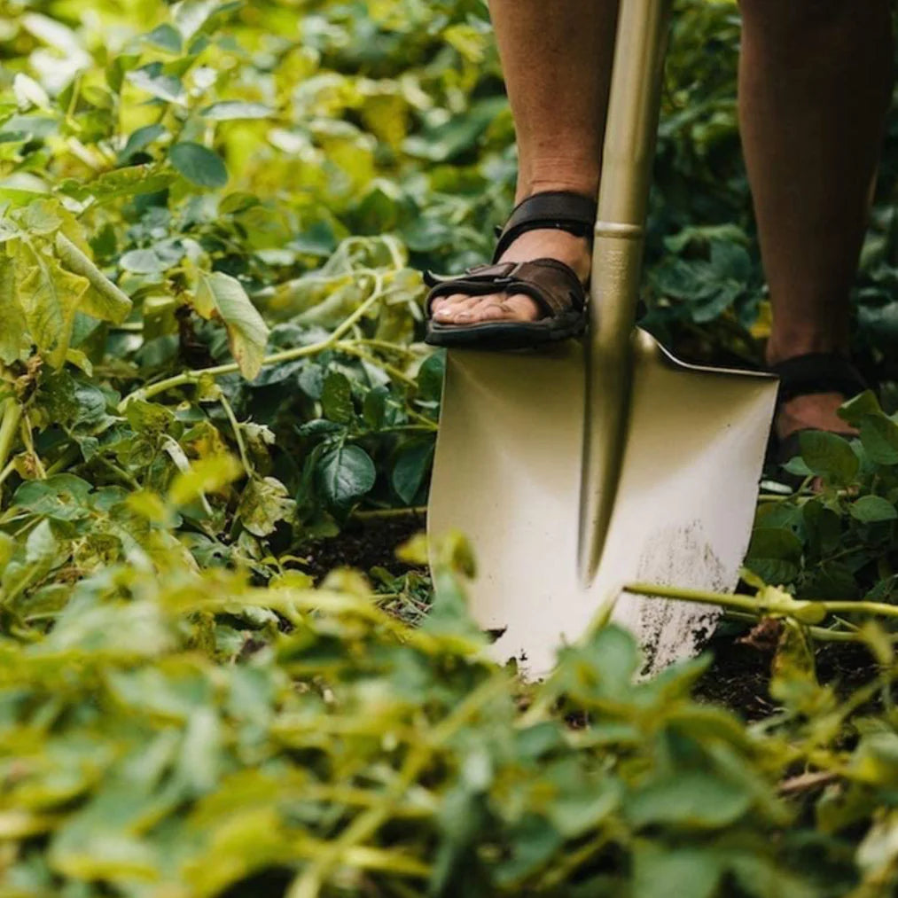 Digging & Weeding