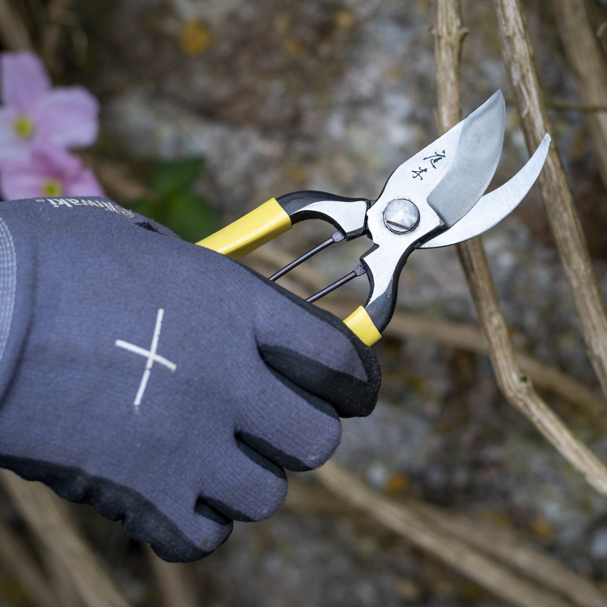 Cutting & Pruning