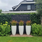 Fibreglass Canna Planter (15016581955969)