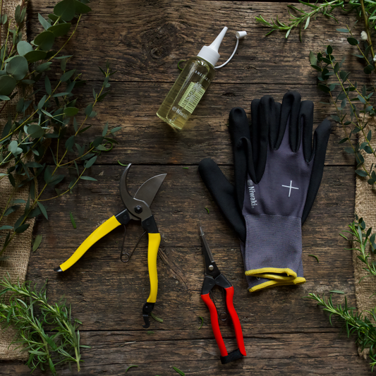 Niwaki Mainichi Hamper