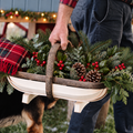Traditional Sussex Garden Trug