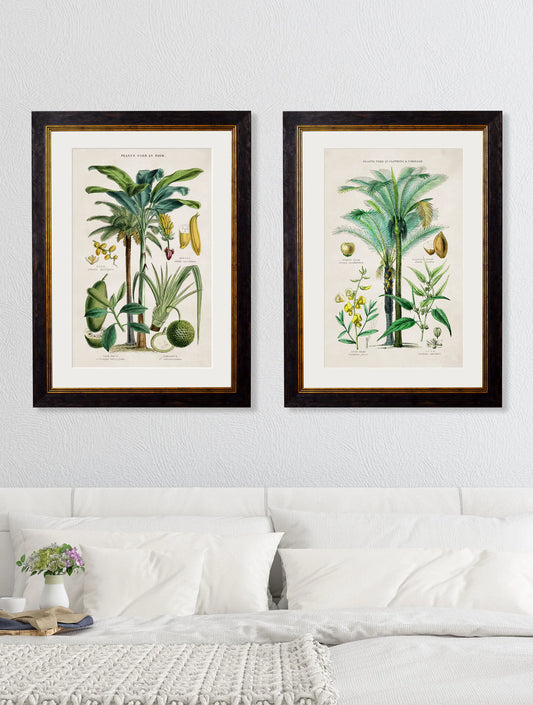 Collection of Tropical Plants Used as Food and Clothing c.1877 Framed Prints (7702933242049)