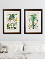 Collection of Tropical Plants Used as Food and Clothing c.1877 Framed Prints (7702933242049)