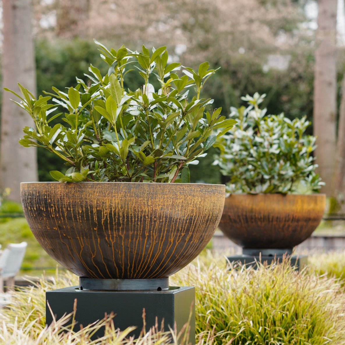 Corten Steel Bocca Bowl Planter (7544787730625)