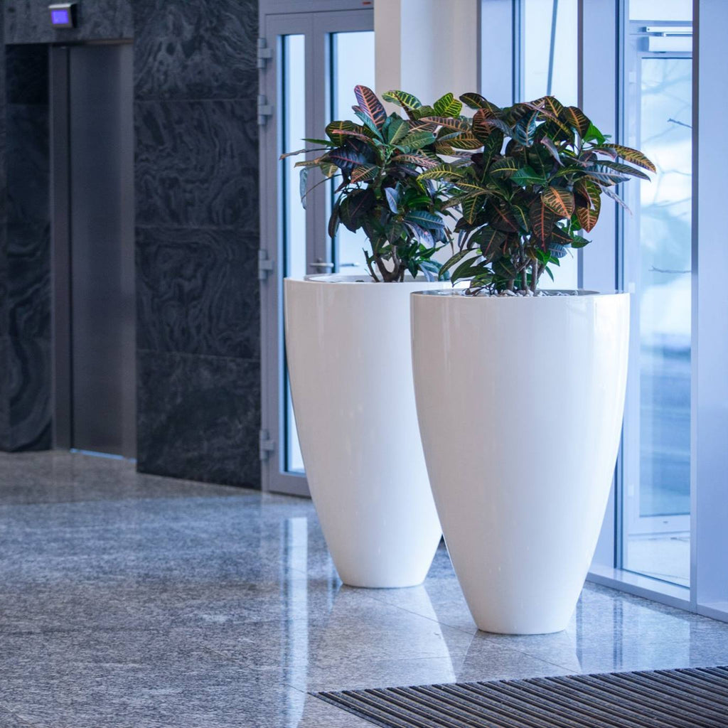 Fibreglass Canna Planter (15016581955969)