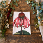 Handmade Cotton Tea Towel Botanical Collection