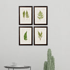 British Ferns c.1864 Framed Prints (7702908862657)