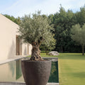 Liv Stonecore Planter
