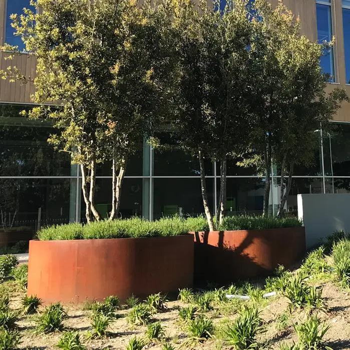 Corten Steel Circum Bottomless Cylinder Planter