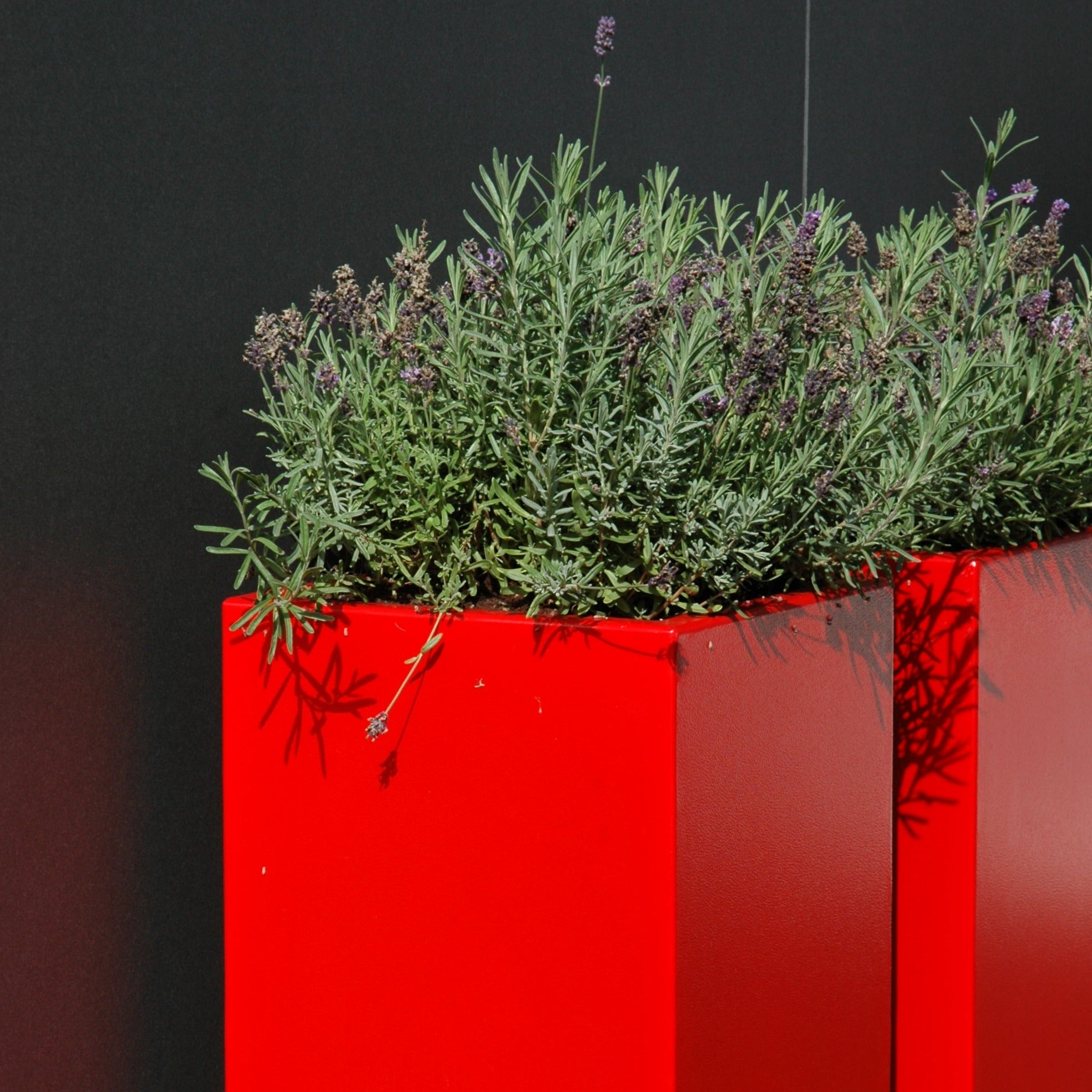 Close-up view of the Adezz Carrez Aluminium Tower Planter, showcasing its sleek vertical lines and modern design, perfect for outdoor spaces. (10144587382977)