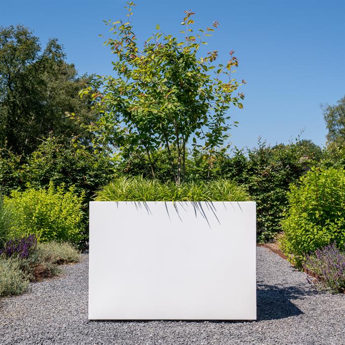 Close-up of the Adezz Aluminium Carrez Cube Planter, showcasing its sleek design and angular lines. (10139695284417)