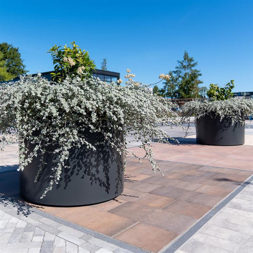 Adezz Circum Aluminium Cylinder Planter (10145224720577)