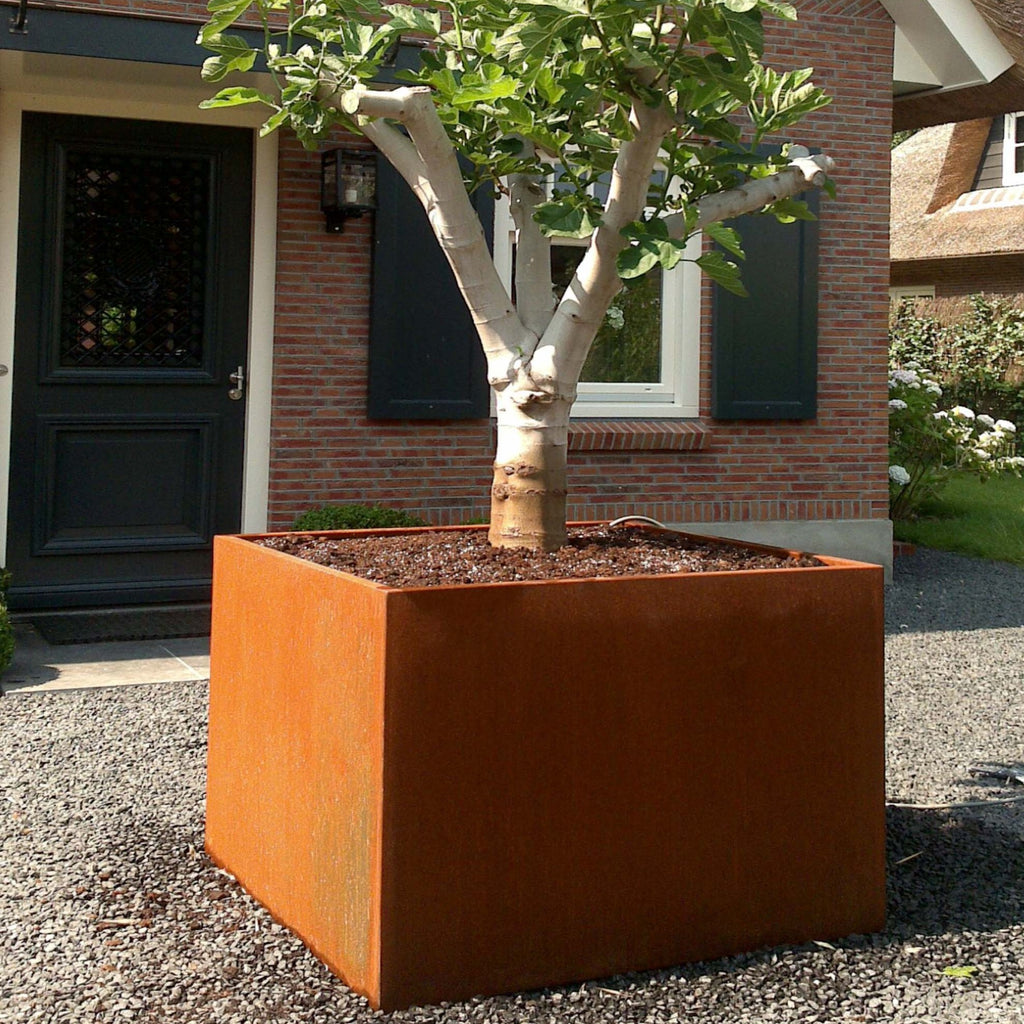 Corten Steel Square Carezz Planter (10285741736129) (15020099338625)