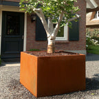 Corten Steel Square Carezz Planter (10285741736129) (15020099338625)