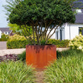 Adezz Corten Steel Carezz Cube Planter (7649133101249) (5773668614308)