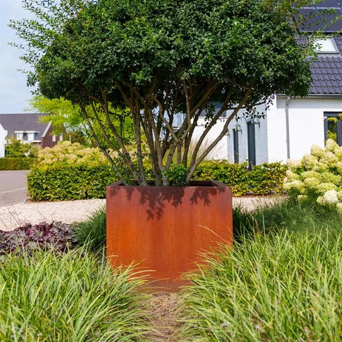 Adezz Corten Steel Carezz Cube Planter (7649133101249) (5773668614308)