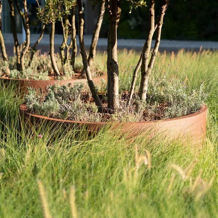 Corten Steel Circum Bottomless Cylinder Planter
