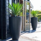 Fibreglass Canna Planter (15016581955969)