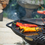 BBQ King 80 with Two Swing Arm BBQ Racks
