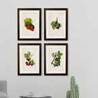 Collection of Berries & Cherries c.1886 Framed Prints (7702950084801)