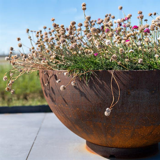 A close up angle of the Adezz Corten Steel Bocca Bowl Planter in front of a scenic landscape background.