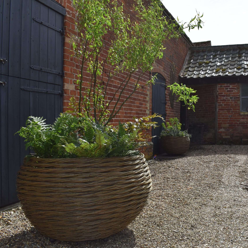 Small Woven Willow Round Planter (15038401905025) (15038517019009) (15065096028545) (15065098715521)