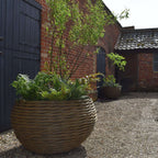 Small Woven Willow Round Planter (15038401905025) (15038517019009) (15065096028545) (15065098715521)