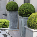Empire Galvanised Steel Planter (10175568609473)