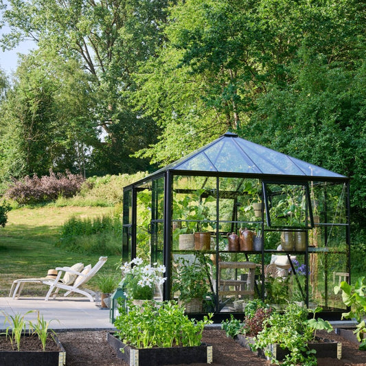 Halls Qube Square Greenhouse (10229106671809)